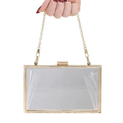 Trendy Acrylic Transparent Bag - neasysspecialtease