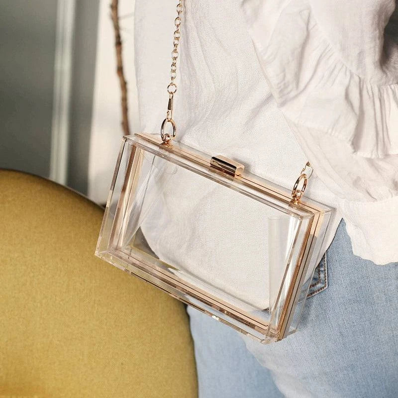 Trendy Acrylic Transparent Bag - neasysspecialtease