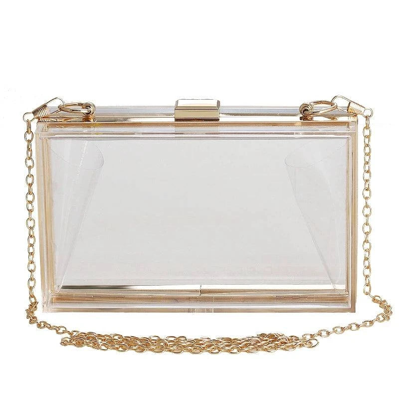 Trendy Acrylic Transparent Bag - neasysspecialtease