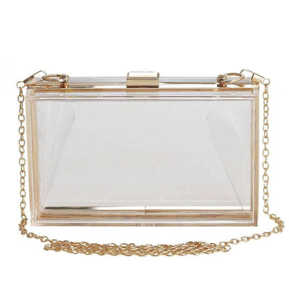 Trendy Acrylic Transparent Bag - neasysspecialtease