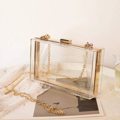 Trendy Acrylic Transparent Bag - neasysspecialtease