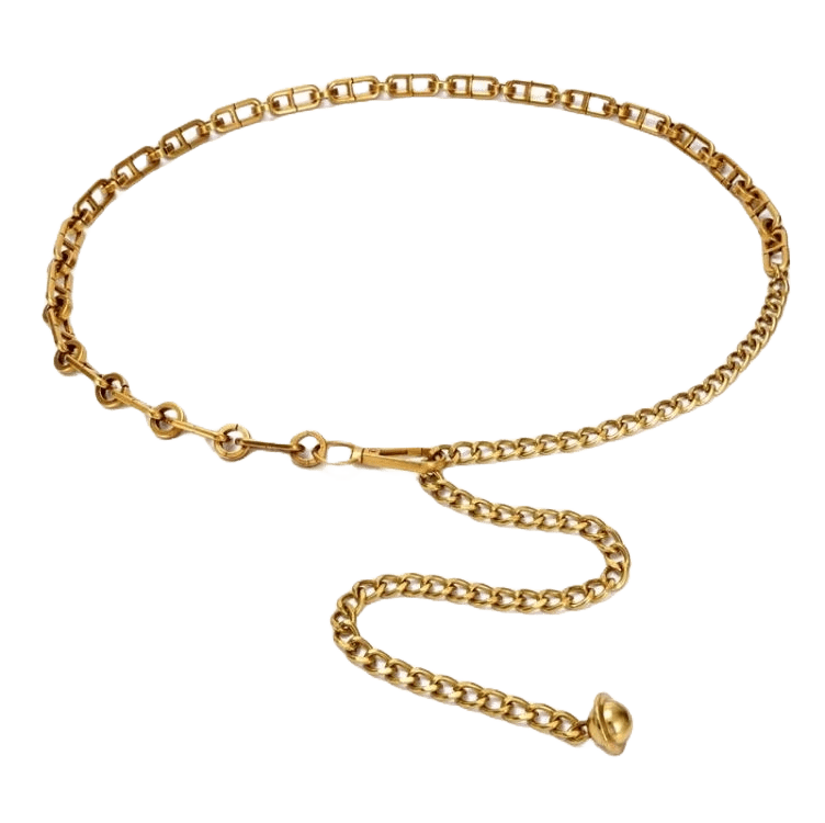 Elegant Metal Waist Chain Belt - neasysspecialtease